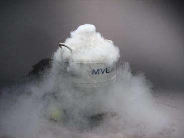 From Our Freezer to Yours, Part 2: Properly Thawing Frozen Meat